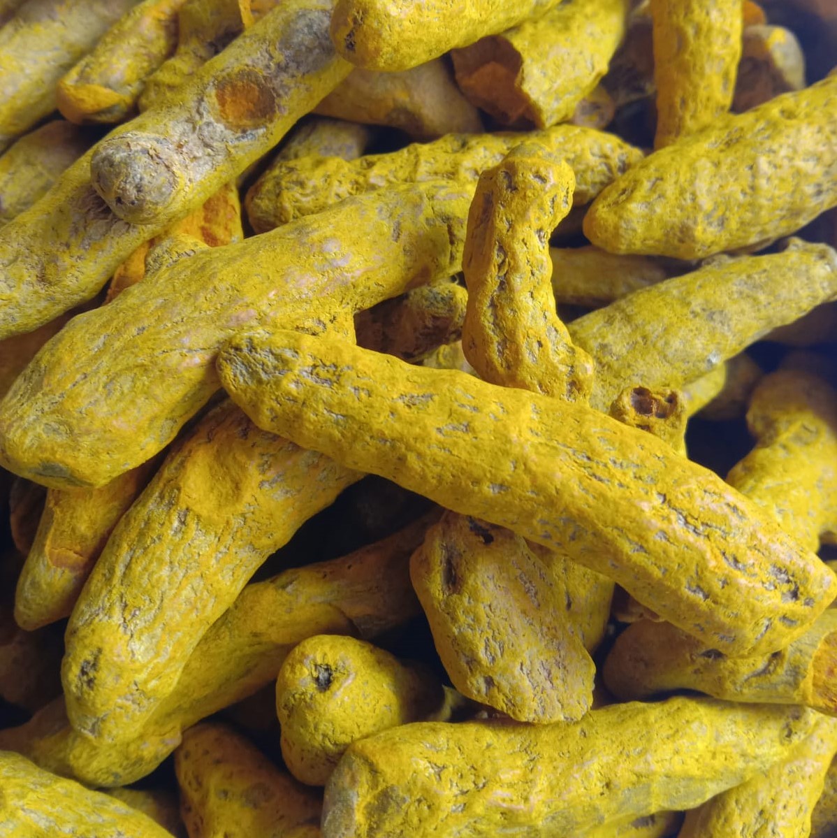 Uzhavan Unavu - Turmeric / Haldee / Veral Manjal / Kombu Manjal -500gm
