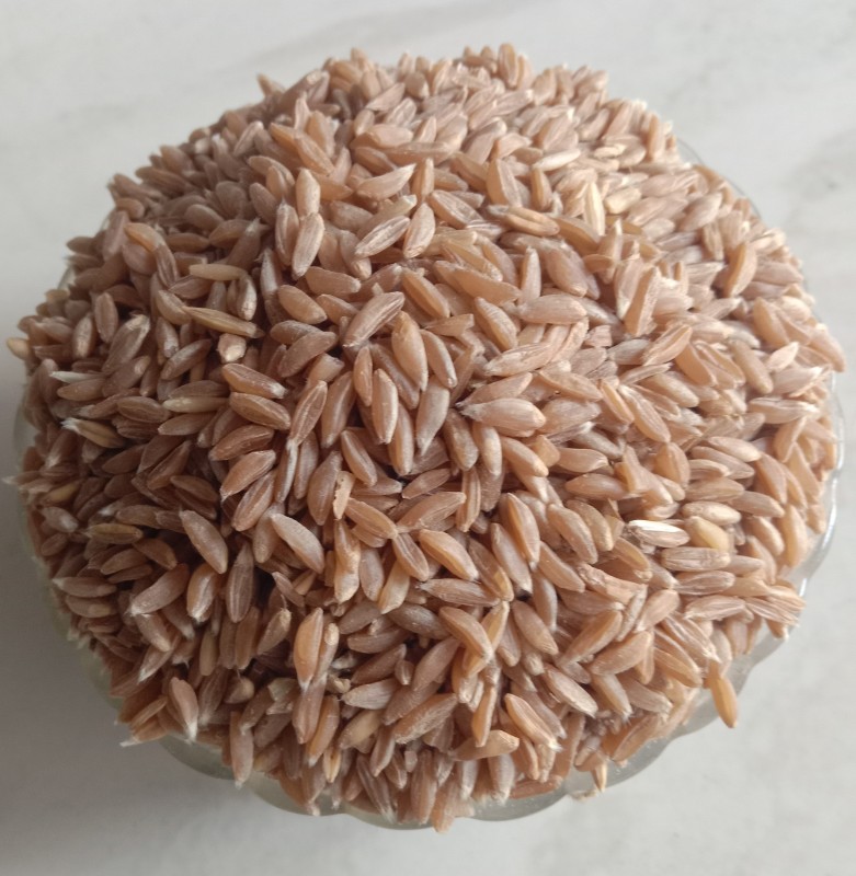 Uzhavan Unavu - Samba godhumai/Samba wheat /Saamba gehoon - 1 Kg