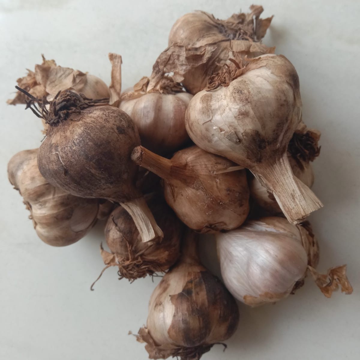 Uzhavan Unavu - Kodaikanal - Poombarai malai poondu / Hill garlic (More medicinal value) - 250 Gms